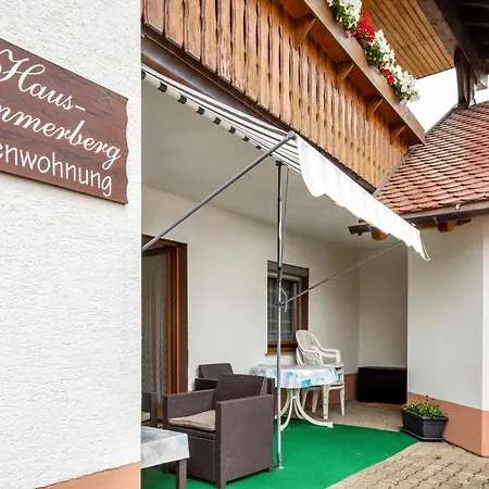 Haus Sommerberg Titisee-Neustadt Extérieur photo